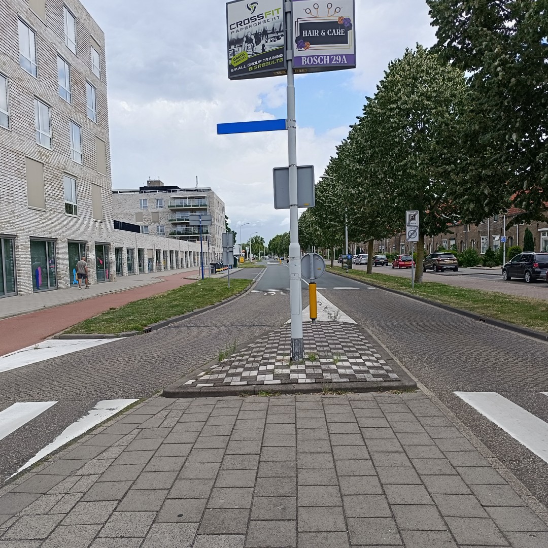 Jonge vandalen beschadigen auto's aan Veerweg