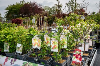 Album afbeelding 8: Ook voor allerlei soorten fruitplanten en fruitbomen