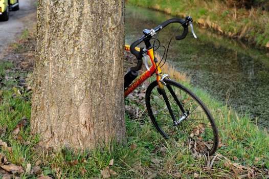 Racefietser tegen boom