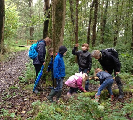 Bekijk het bos met andere ogen